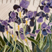 Iris - Andrea Ferrari